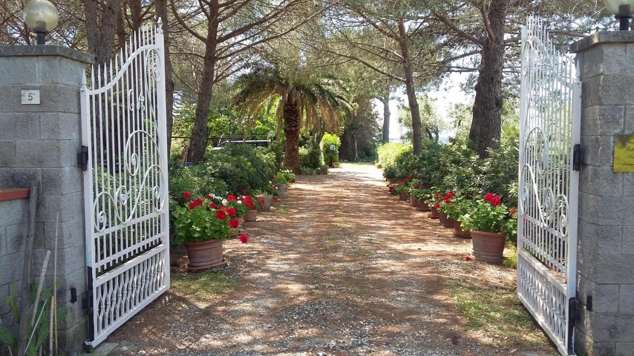 Campo Alle More Cecina  Kültér fotó