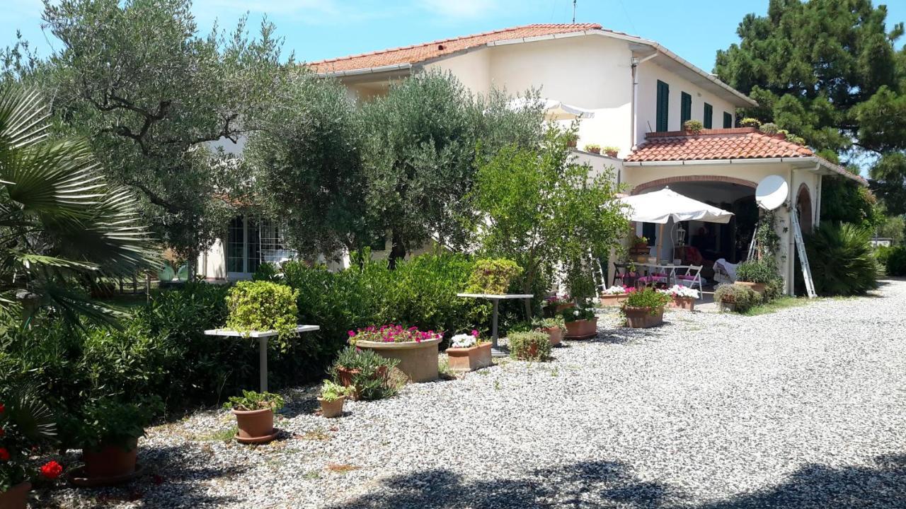 Campo Alle More Cecina  Kültér fotó
