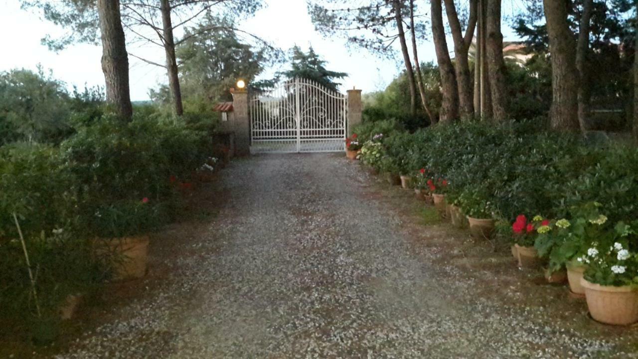 Campo Alle More Cecina  Kültér fotó