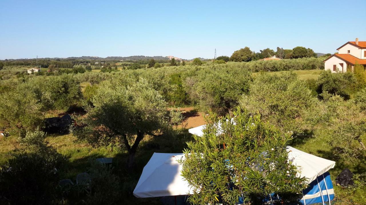 Campo Alle More Cecina  Kültér fotó