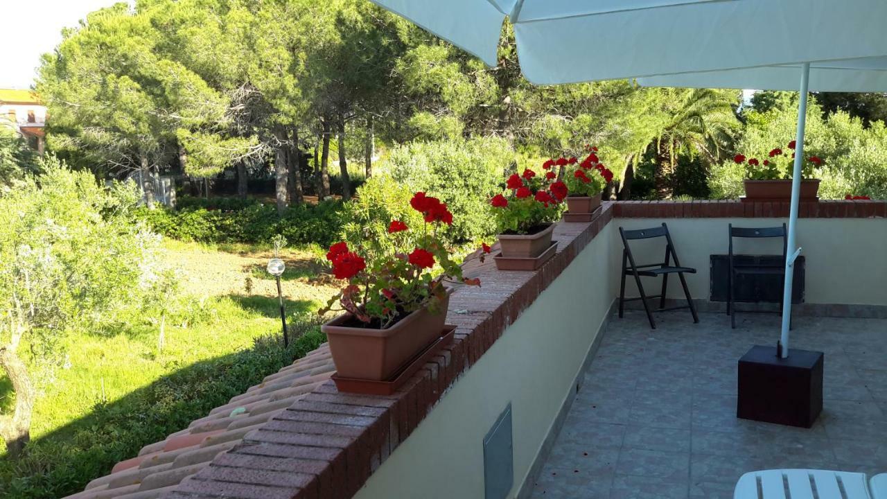 Campo Alle More Cecina  Kültér fotó