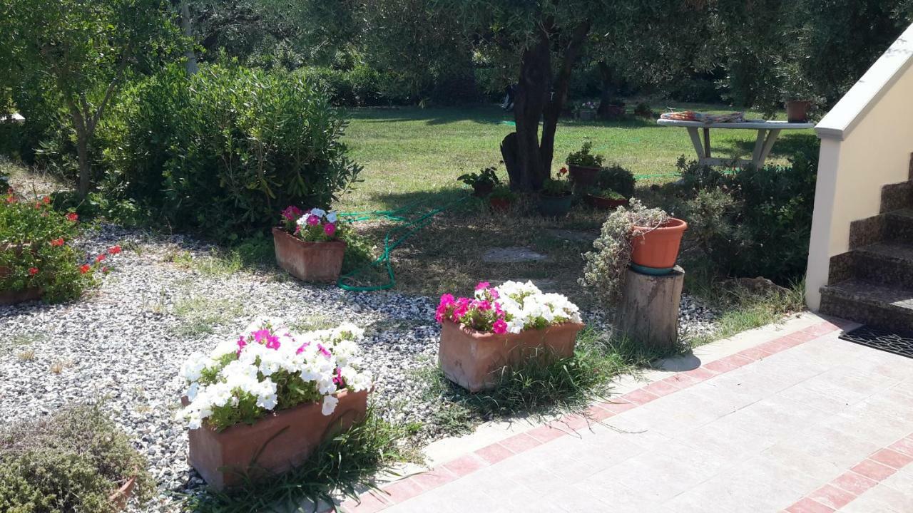 Campo Alle More Cecina  Kültér fotó