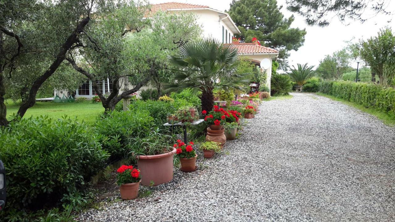 Campo Alle More Cecina  Kültér fotó