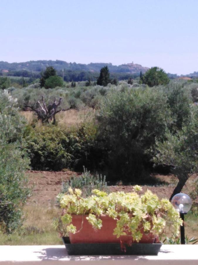 Campo Alle More Cecina  Kültér fotó