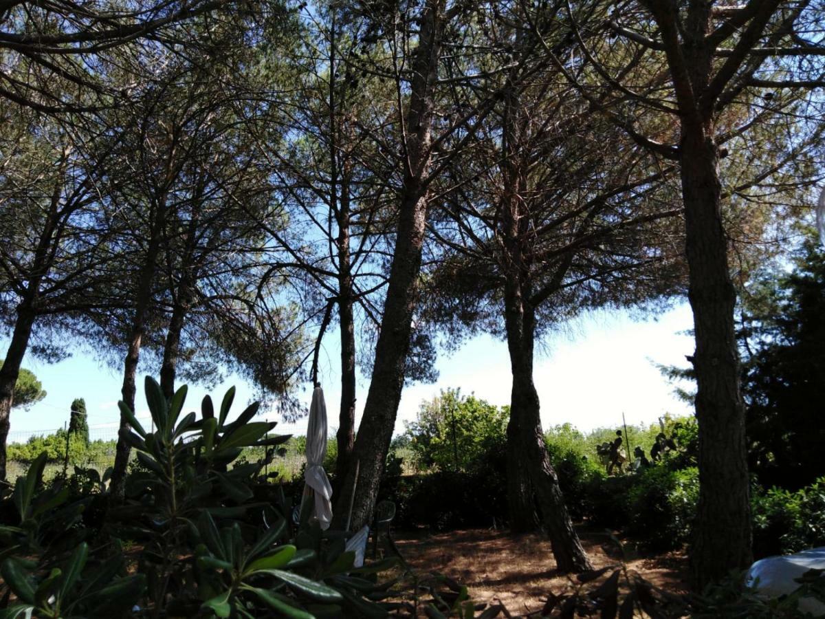 Campo Alle More Cecina  Kültér fotó